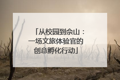 从校园到佘山：一场文旅体验官的创意孵化行动