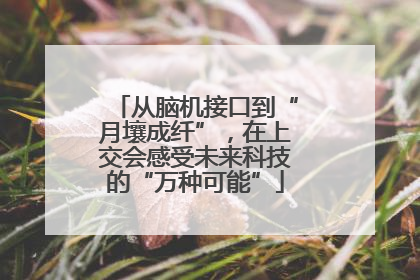 从脑机接口到“月壤成纤”，在上交会感受未来科技的“万种可能”