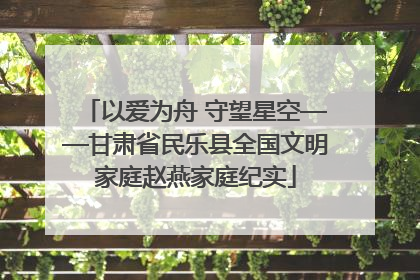 以爱为舟 守望星空——甘肃省民乐县全国文明家庭赵燕家庭纪实
