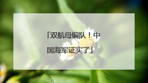 双航母编队！中国海军证实了