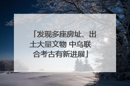 发现多座房址、出土大量文物 中乌联合考古有新进展