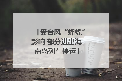 受台风“蝴蝶”影响 部分进出海南岛列车停运