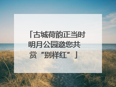 古城荷韵正当时 明月公园邀您共赏“别样红”