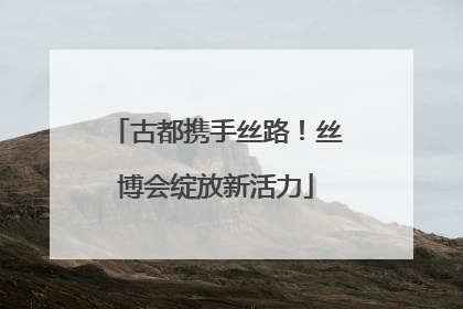 古都携手丝路！丝博会绽放新活力