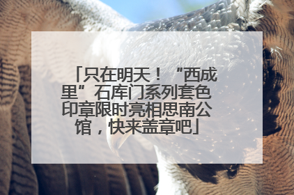 只在明天！“西成里”石库门系列套色印章限时亮相思南公馆，快来盖章吧
