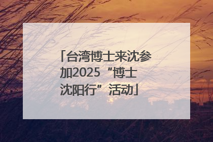 台湾博士来沈参加2025“博士沈阳行”活动
