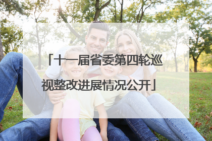 十一届省委第四轮巡视整改进展情况公开
