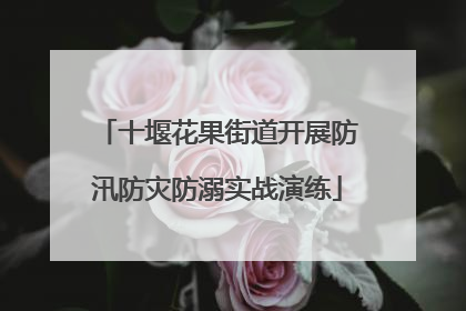 十堰花果街道开展防汛防灾防溺实战演练