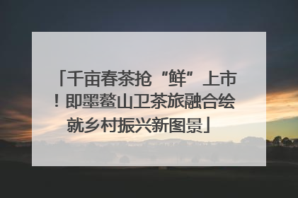 千亩春茶抢“鲜”上市！即墨鳌山卫茶旅融合绘就乡村振兴新图景