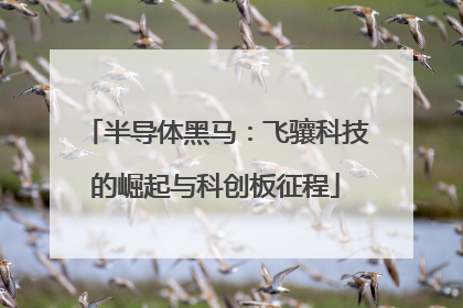 半导体黑马：飞骧科技的崛起与科创板征程