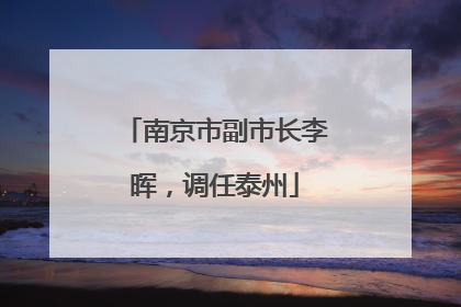南京市副市长李晖，调任泰州