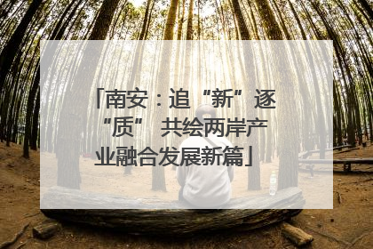 南安：追“新”逐“质” 共绘两岸产业融合发展新篇