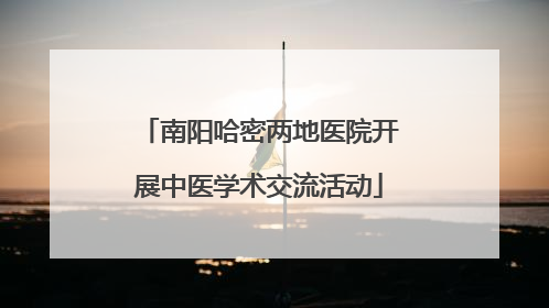 南阳哈密两地医院开展中医学术交流活动