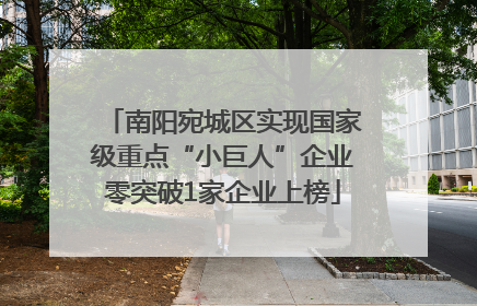 南阳宛城区实现国家级重点“小巨人”企业零突破1家企业上榜
