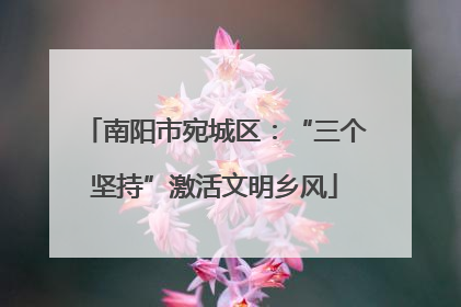 南阳市宛城区：“三个坚持”激活文明乡风