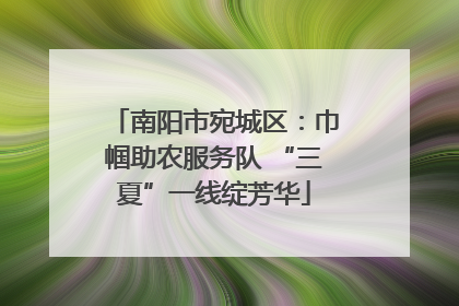 南阳市宛城区：巾帼助农服务队 “三夏”一线绽芳华