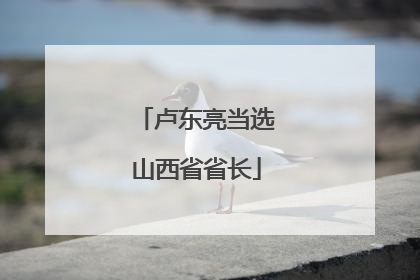 卢东亮当选山西省省长