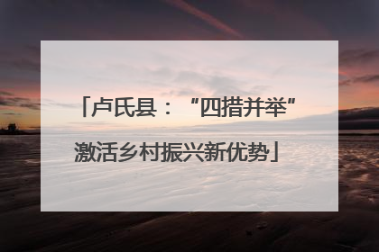 卢氏县：“四措并举”激活乡村振兴新优势