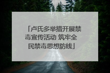 卢氏多举措开展禁毒宣传活动 筑牢全民禁毒思想防线