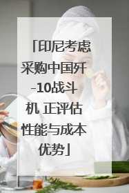印尼考虑采购中国歼-10战斗机 正评估性能与成本优势