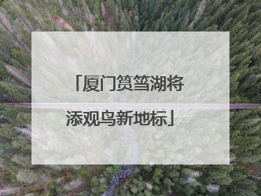 厦门筼筜湖将添观鸟新地标