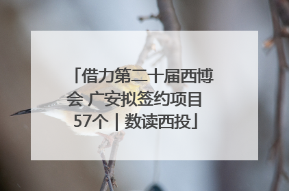 借力第二十届西博会 广安拟签约项目57个｜数读西投