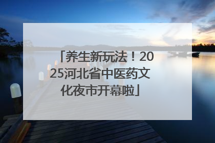 养生新玩法！2025河北省中医药文化夜市开幕啦