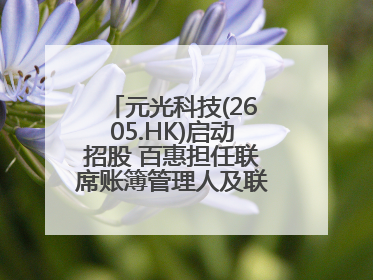元光科技(2605.HK)启动招股 百惠担任联席账簿管理人及联席牵头经办人