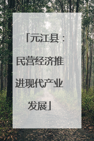 元江县：民营经济推进现代产业发展