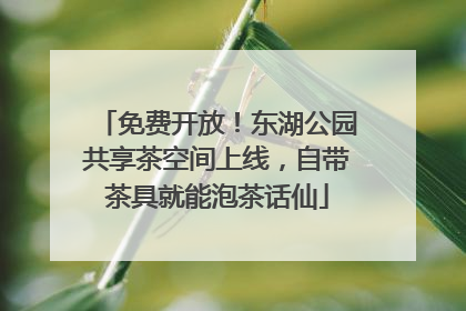 免费开放！东湖公园共享茶空间上线，自带茶具就能泡茶话仙