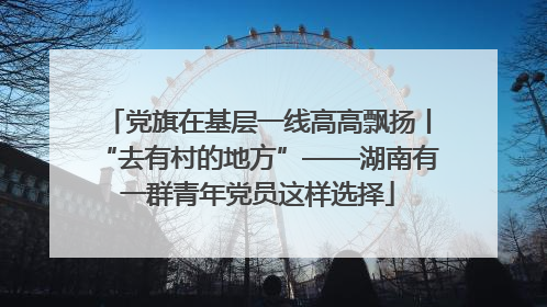 党旗在基层一线高高飘扬丨“去有村的地方”——湖南有一群青年党员这样选择