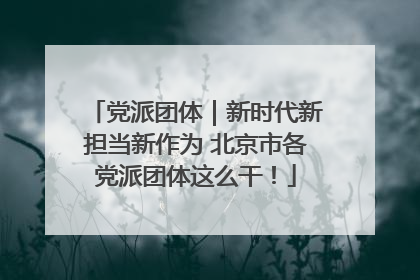 党派团体｜新时代新担当新作为 北京市各党派团体这么干！