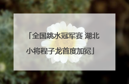 全国跳水冠军赛 湖北小将程子龙首度加冕