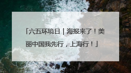 六五环境日｜海报来了！美丽中国我先行，上海行！