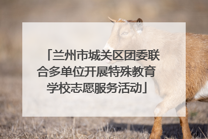 兰州市城关区团委联合多单位开展特殊教育学校志愿服务活动