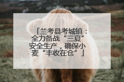 兰考县考城镇：全力备战“三夏”安全生产，确保小麦“丰收在仓”