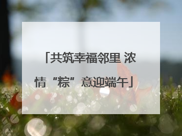 共筑幸福邻里 浓情“粽”意迎端午