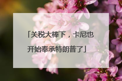 关税大棒下，卡尼也开始奉承特朗普了