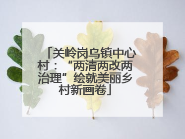 关岭岗乌镇中心村：“两清两改两治理”绘就美丽乡村新画卷