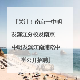关注！南京一中明发滨江分校及南京一中明发滨江南浦路中学公开招聘