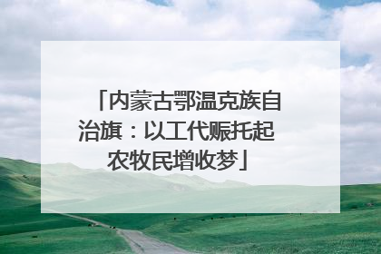 内蒙古鄂温克族自治旗：以工代赈托起农牧民增收梦