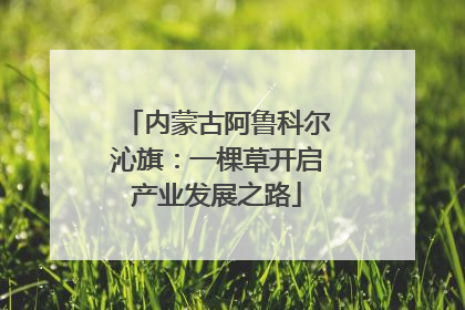 内蒙古阿鲁科尔沁旗：一棵草开启产业发展之路
