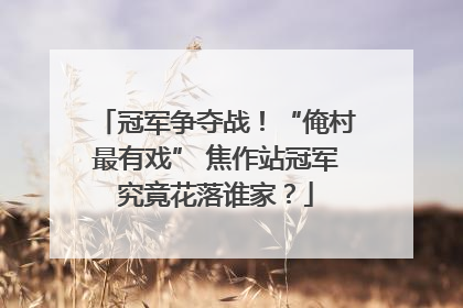 冠军争夺战！“俺村最有戏” 焦作站冠军究竟花落谁家？
