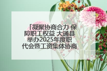 凝聚协商合力 保障职工权益 大通县举办2025年度职代会暨工资集体协商现场观摩交流活动