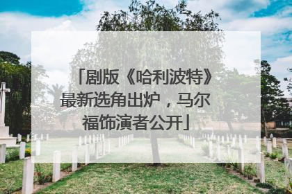剧版《哈利波特》最新选角出炉，马尔福饰演者公开