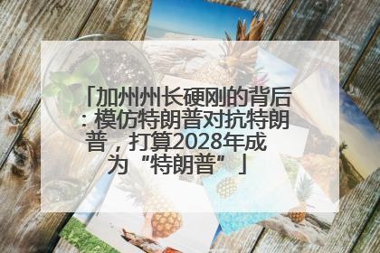 加州州长硬刚的背后：模仿特朗普对抗特朗普，打算2028年成为“特朗普”