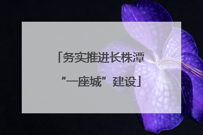 务实推进长株潭“一座城”建设