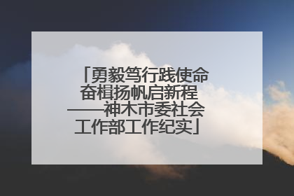 勇毅笃行践使命 奋楫扬帆启新程——神木市委社会工作部工作纪实