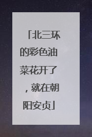 北三环的彩色油菜花开了，就在朝阳安贞