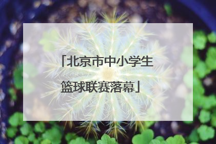 北京市中小学生篮球联赛落幕
